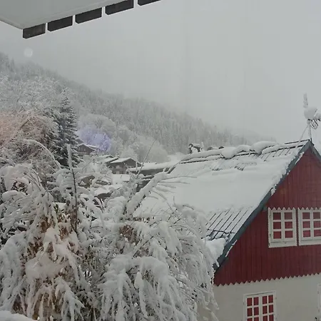 Apartment T2 Lumineux Pour 5 Pers, 300m Des Commerces, Avec Balcon Et Box A Skis - - Fr-1-802-81 Les Gets