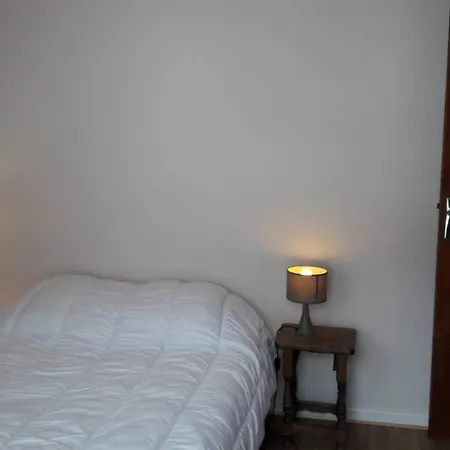 Apartment T2 Lumineux Pour 5 Pers, 300m Des Commerces, Avec Balcon Et Box A Skis - - Fr-1-802-81