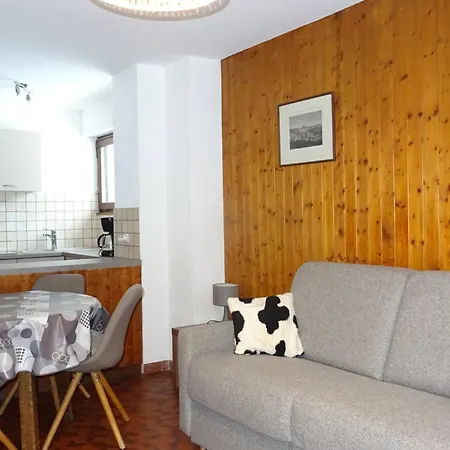 Apartment T2 Lumineux Pour 5 Pers, 300m Des Commerces, Avec Balcon Et Box A Skis - - Fr-1-802-81